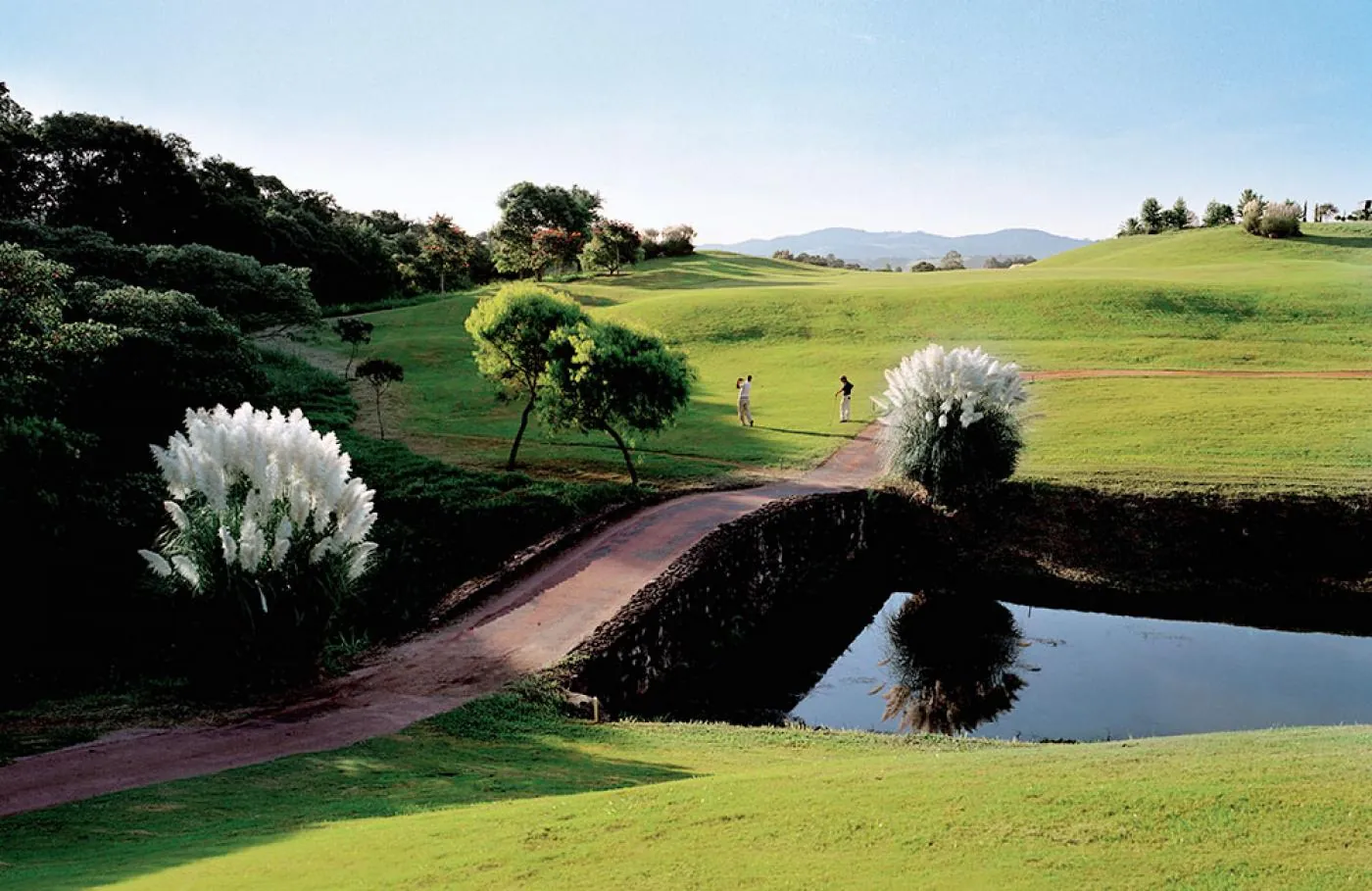 Campo de golfe da Quinta da Baroneza, com a ponte de pedra sobre o lago e os capins-dos-pampas