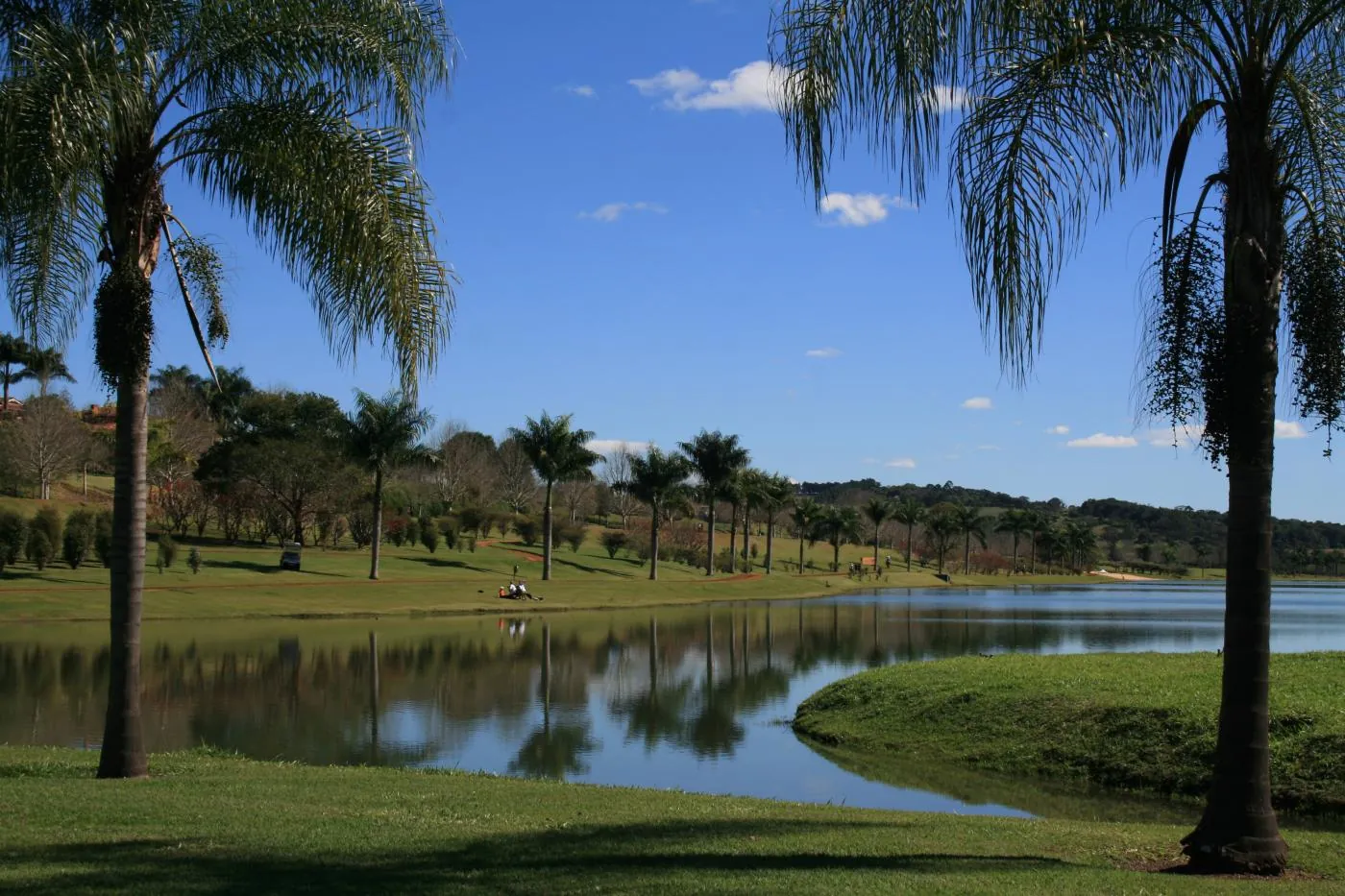 Lago cercado de palmeiras e gramado na Quinta da Baroneza, sob céu azul