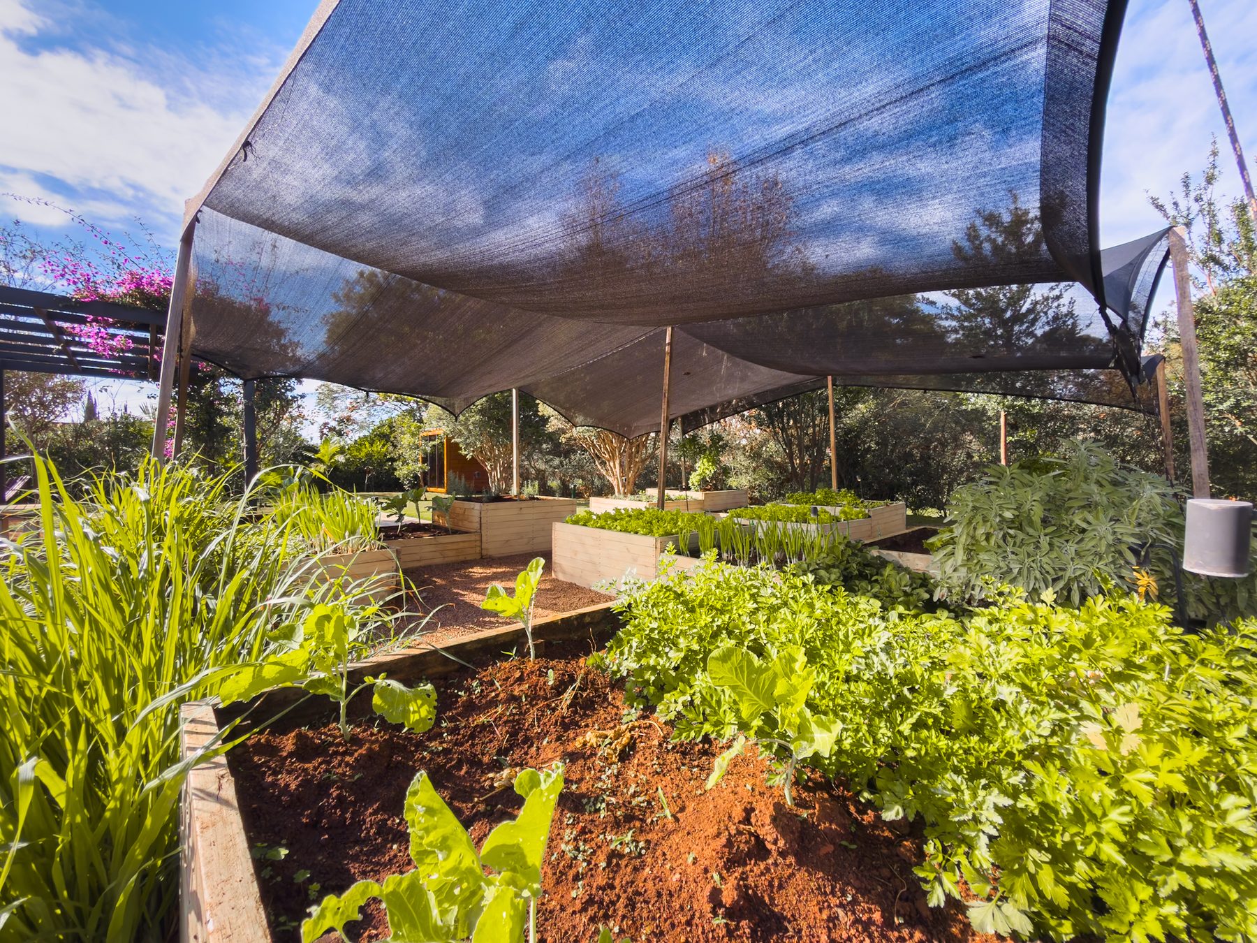 Horta em canteiros elevados de madeira, protegida por tela de sombreamento